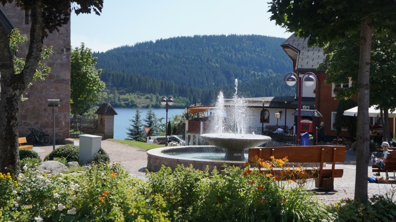 Waldblick Διαμέρισμα Schluchsee Εξωτερικό φωτογραφία